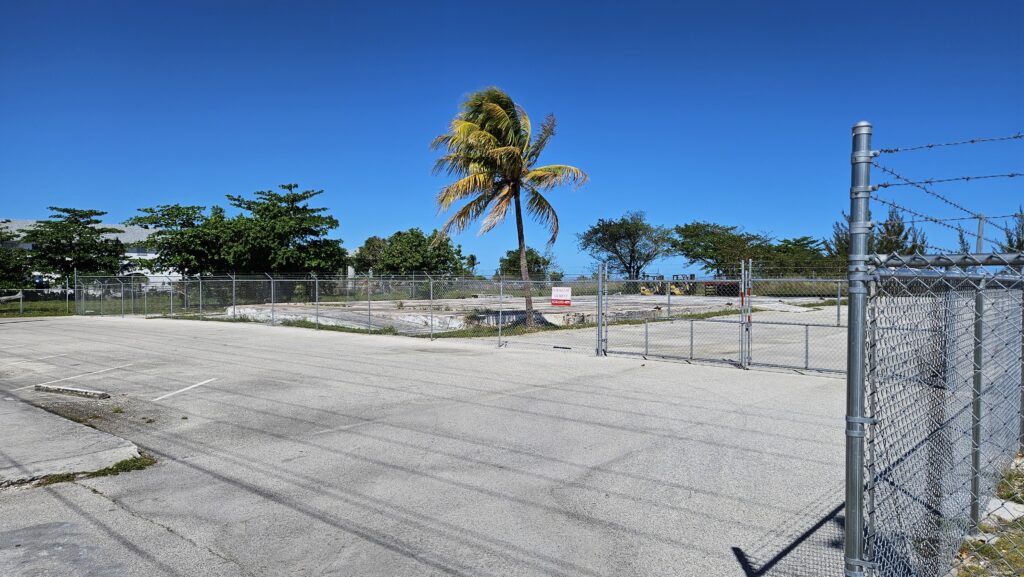 fenced in palm tree